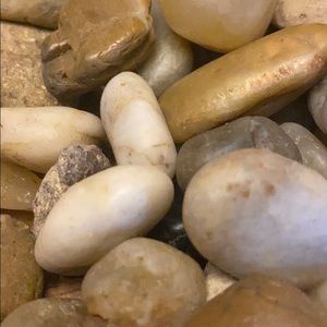 Meet your Posher, Wesley